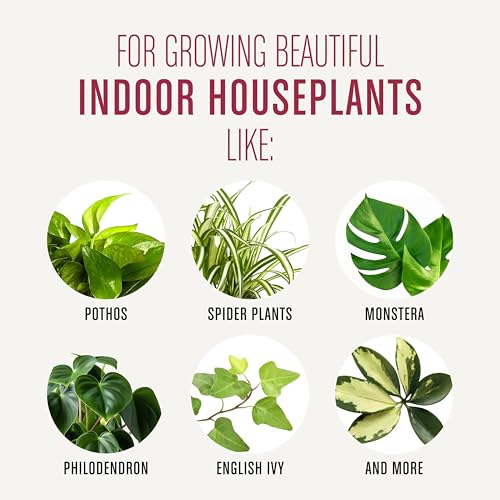 Miracle-Gro Houseplant Potting Mix - Fertilized Soil, Designed to be Less Prone to Gnats, 4 qt. (2-Pack)