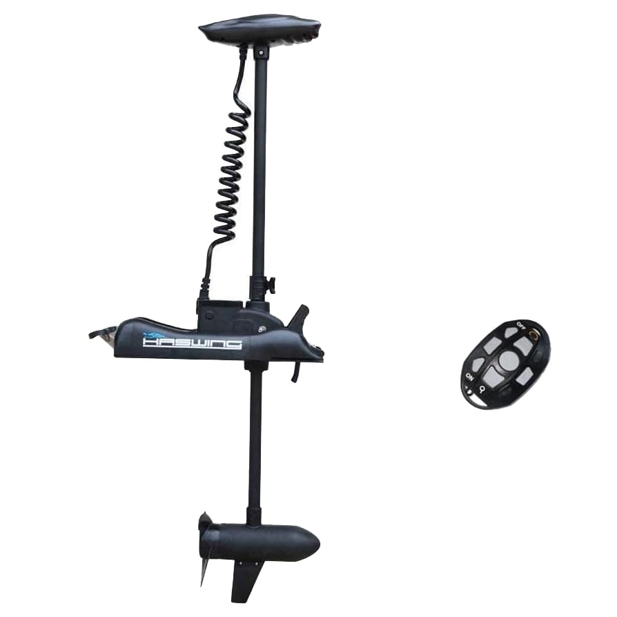 AQUOS Haswing 12V 55LBS 54