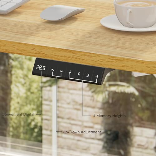 FLEXISPOT EN2 Whole-Piece Standing Desk with Clamp Power Strip, 55 x 28” Electric Stand Up Height Adjustable Desk with Cable Management (Black Frame + 55