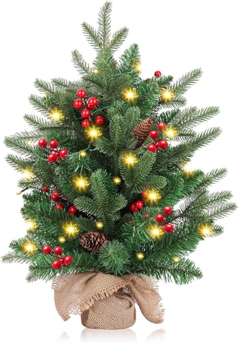 Mini Christmas Tree,20 inch/50CM Small Christmas Tree with Lights with 2M LED Lights,75 Branch Tips,for Home Office Christmas Decorations