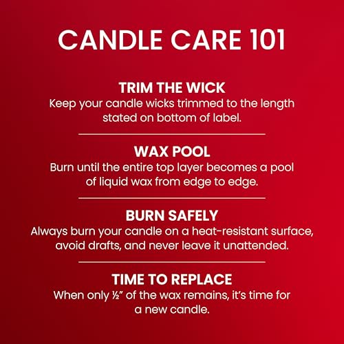 Yankee Candle Sparkling Cinnamon, Christmas Scented Candle, 22oz Large Jar with up to 150 Hour Burn Time, Giftable