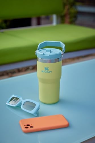 Stanley IceFlow Flip Straw Tumbler with Handle 30 oz | Twist On Lid and Flip Up Straw | Leak Resistant Water Bottle | Insulated Stainless Steel |BPA-Free | Lilac