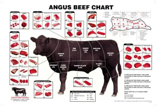 Angus Beef Chart Meat Cuts Diagram Poster Metal Print 12in x 16in Print on Metal 12x16 Square Adults Poster Time