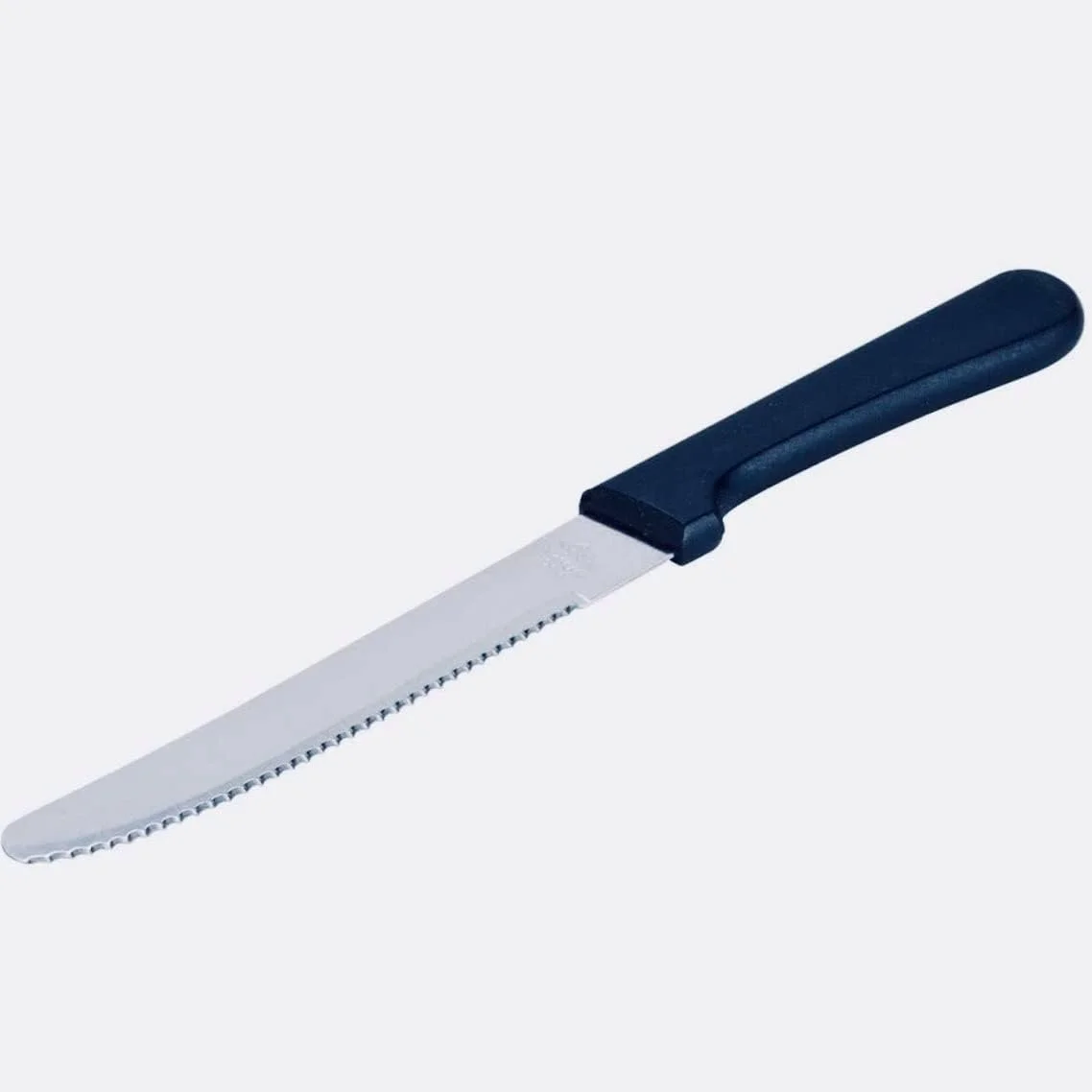 Of 48) 5-Inch Blade Steak Knives, Stainless Steel Rounded Serrated Blade Steak Knives With Plastic Handles For Restaurants