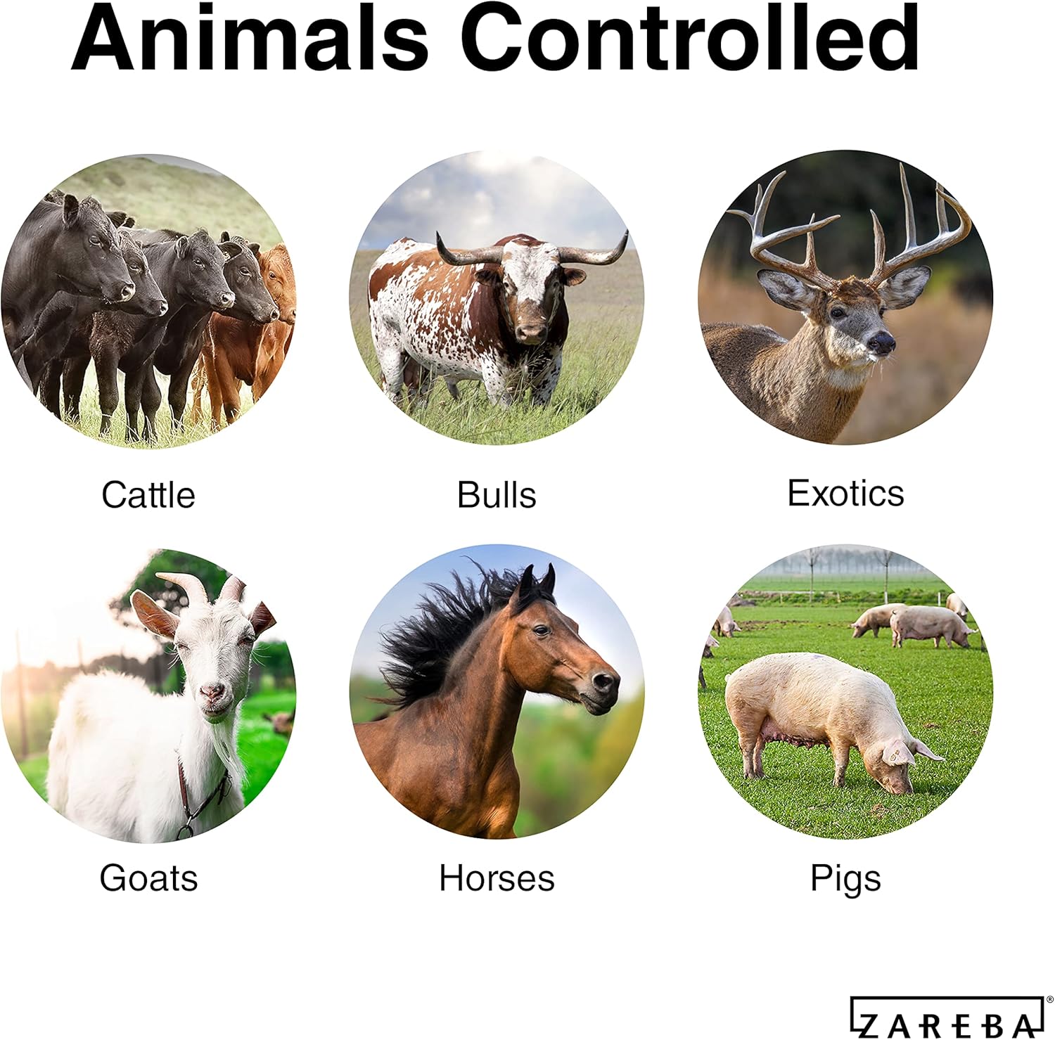 42 Zareba EAC100M-Z 100 Mile AC Low Impedance Electric Fence Charger