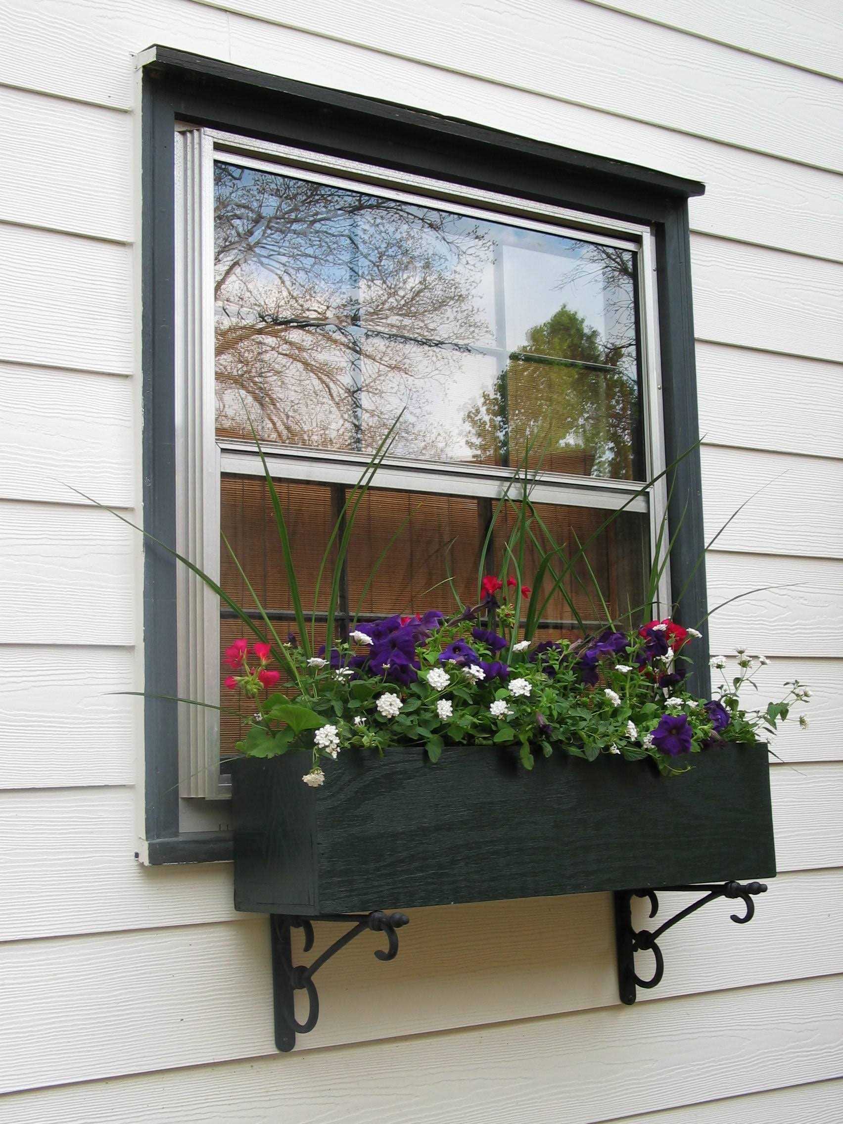 Lowe’s 2-ft x 4-ft Pine Sanded Plywood