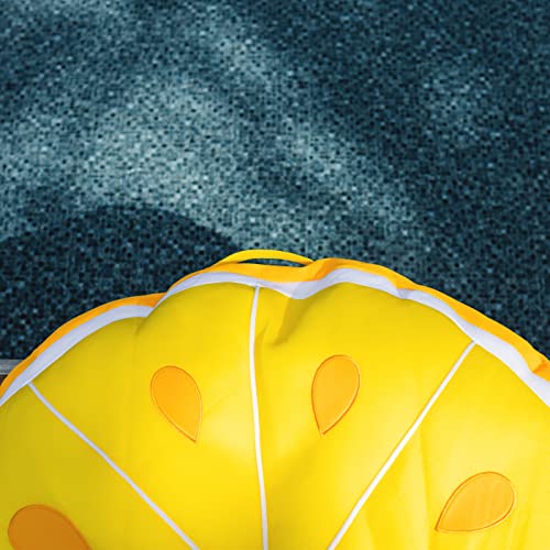 Big Joe Fruit Pool Floats, No Inflation Needed, Quick Draining Fabric, Round Loungers and Pool Noodles