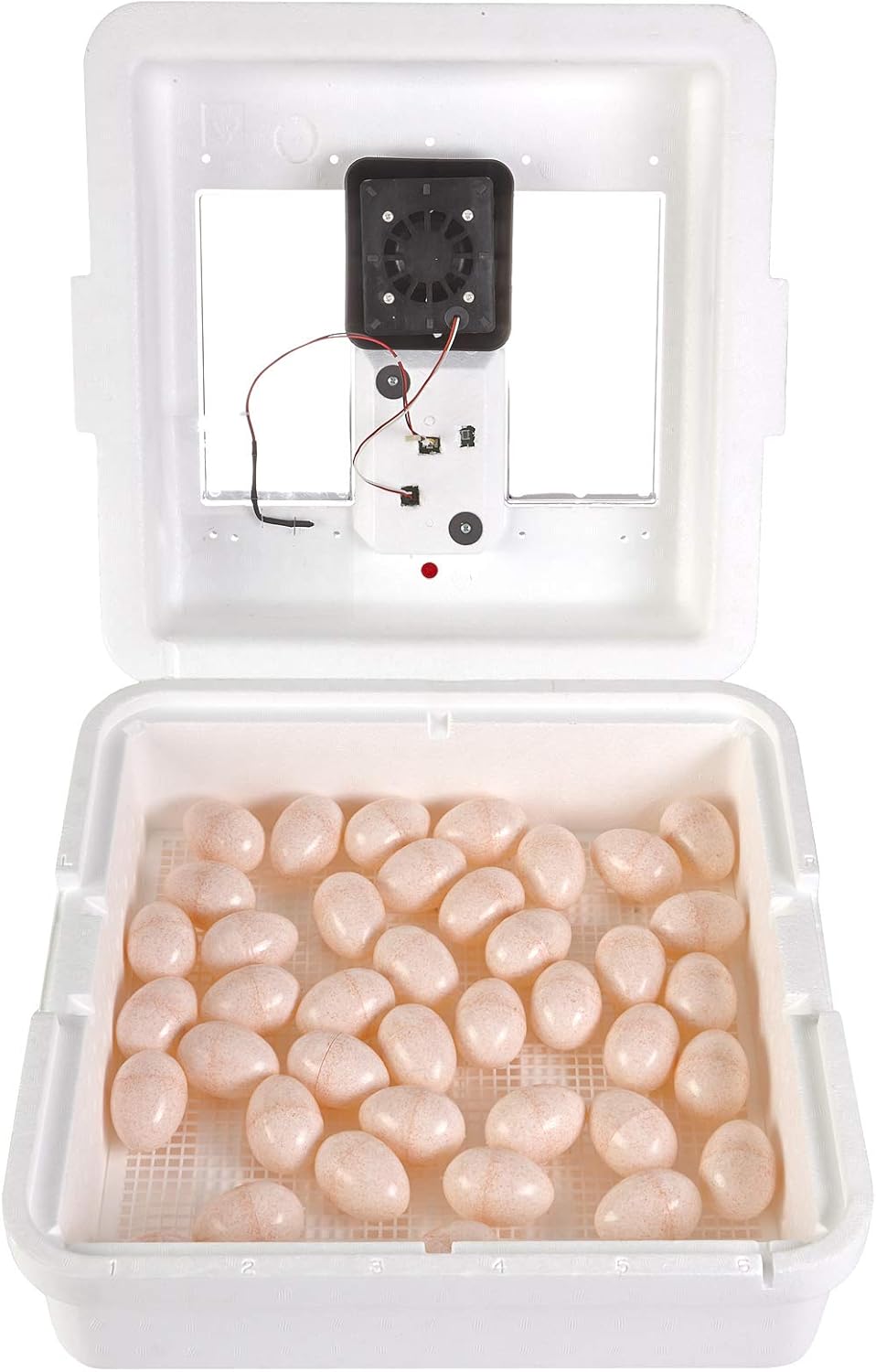 Little Giant® Digital Still Air Incubator | 41 Eggs | Egg Incubator with Temperature and Humidity Control | Chick Incubator