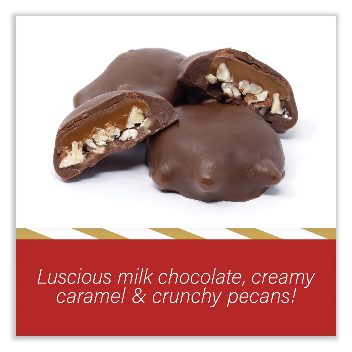 1PC DeMets Original Turtle Bites, Original Pecan, 1 lb, 1.5 oz Bag, Ships in 1-3 Business Days