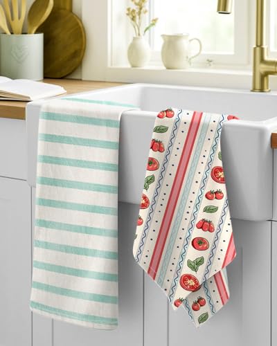 2 Pack Flour Sack Kitchen Towels - 16x26 Inch Cotton Dish Towels with Hanging Loop Reusable Geometric Boho Modern Retro Tea Towel Absorbent Dishcloths Home Decor, Winter Bird