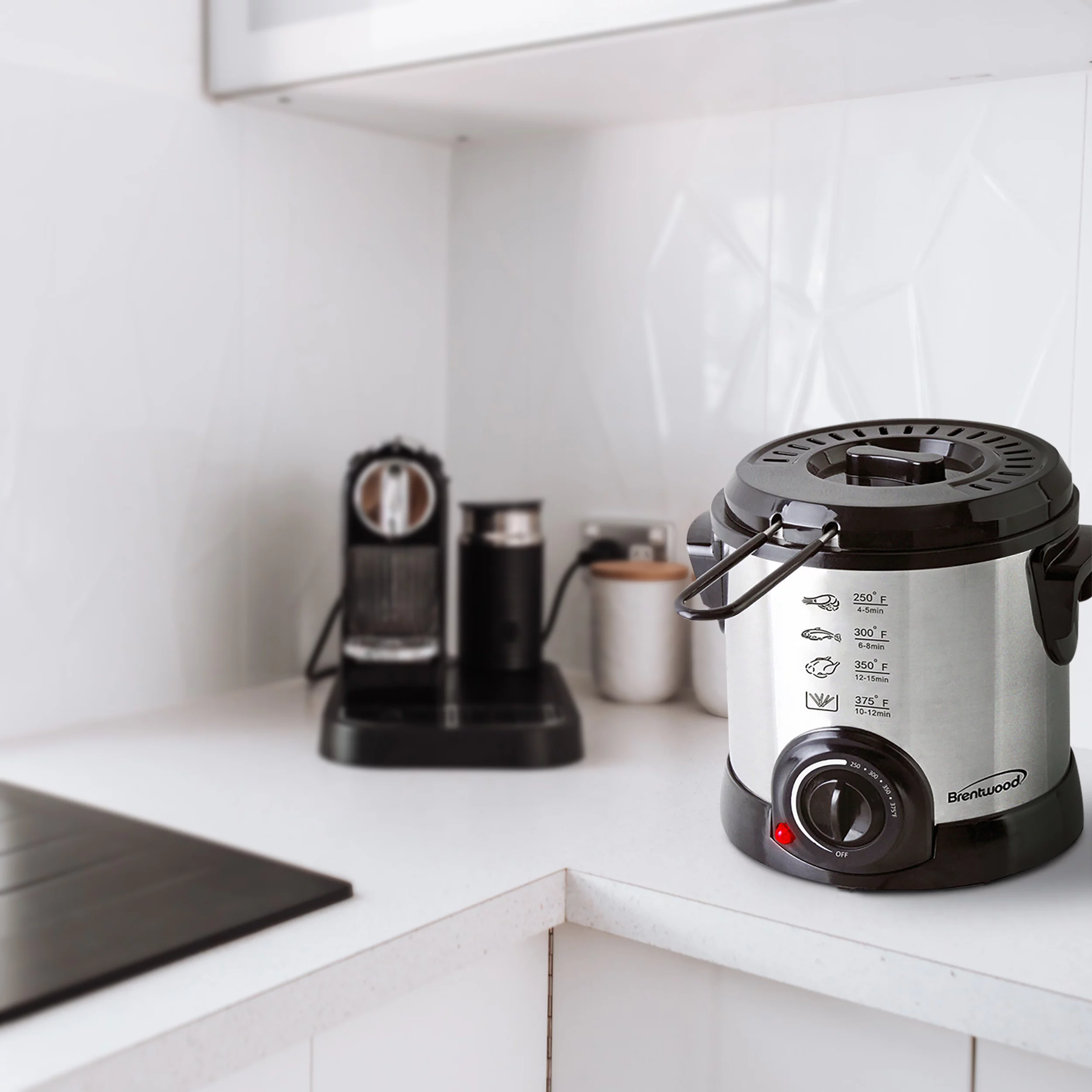 Btwd 1 Liter Electric Deep Fryer in Stainless Steel