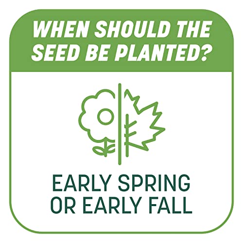 Pennington Smart Patch Tall Fescue Mix 10 lb