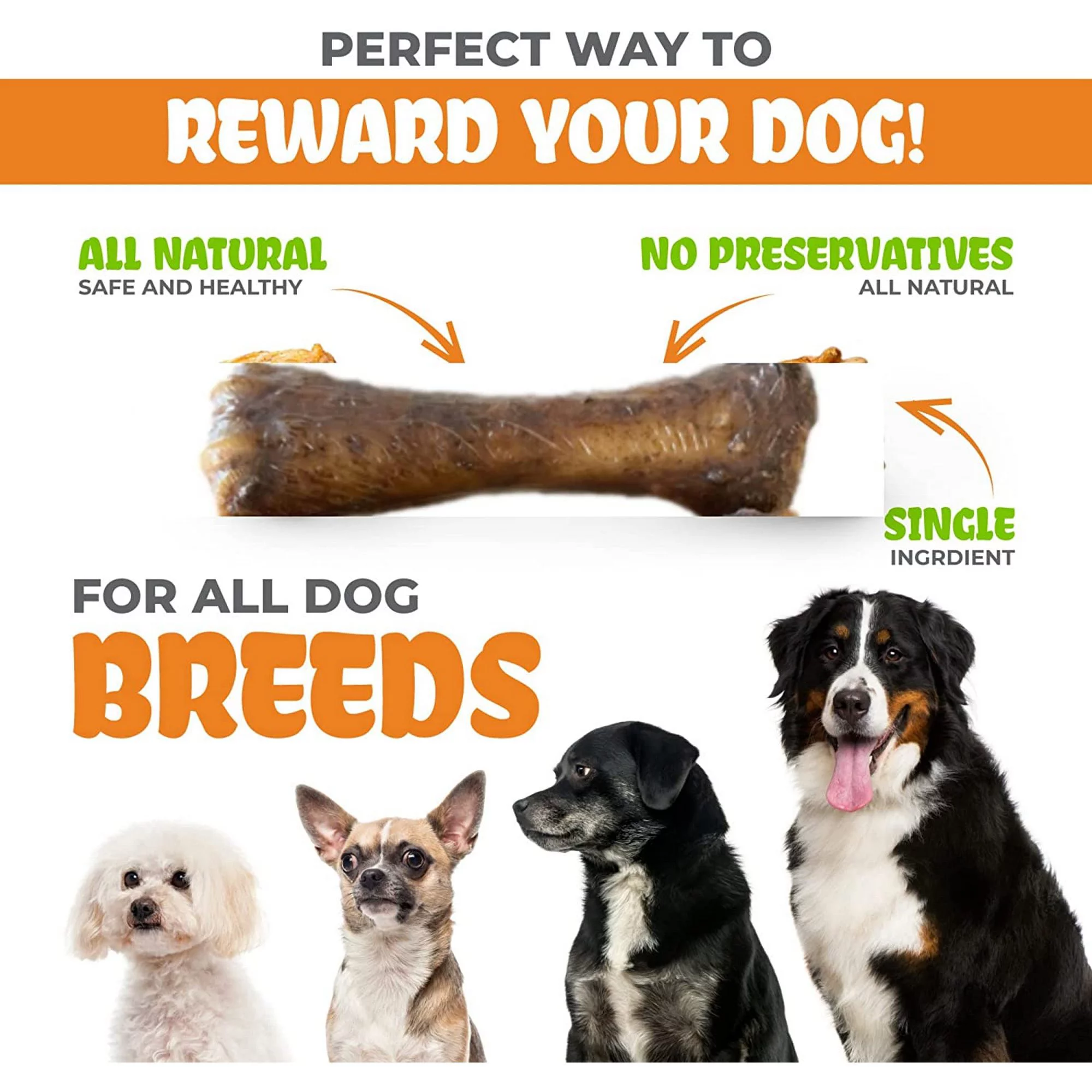 K9warehouse- Premium Shin Bones with Marrow - 8 Inch,3 Pack - Indulge Your Dog with Meaty Delights - Ideal for Aggressive Chewers - All-Natural Meaty Dog Bones - Suitable for All Breeds & Puppies