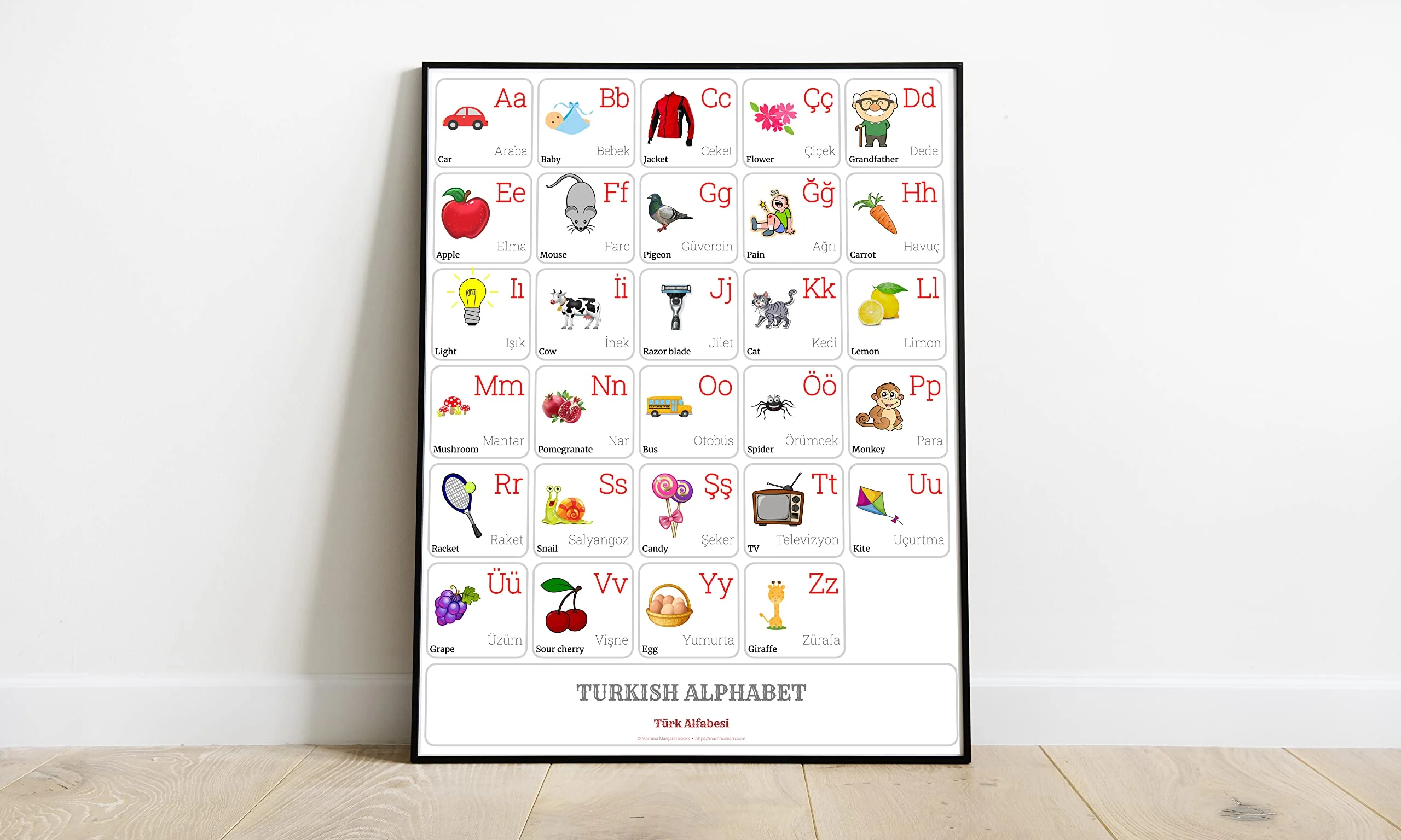 TURKISH Alphabet POSTER Print With Words And English Translations (16 x 20 inches)