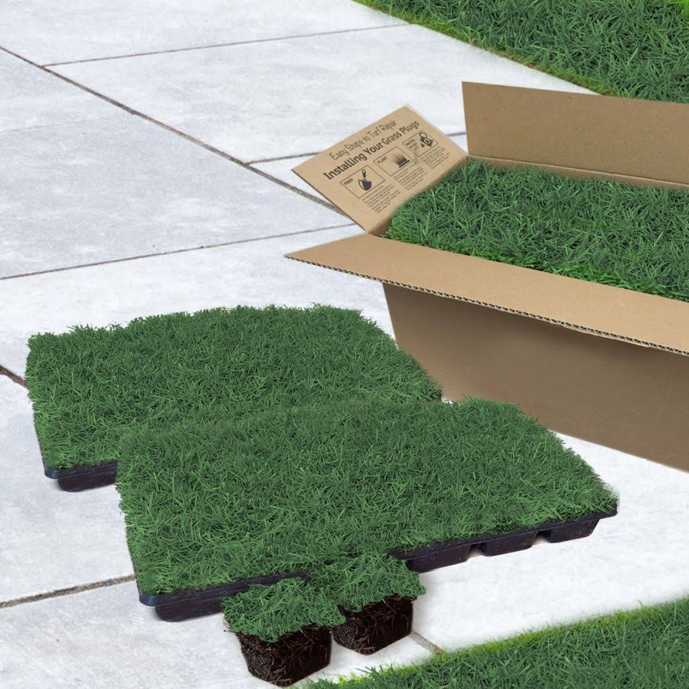 Harmony Brands Bermuda 3x22 Grass Plugs 36 Count