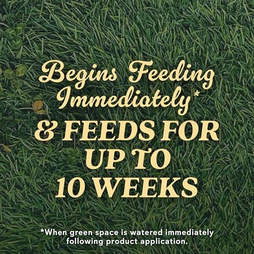 O.M. Scott and Sons Tall Fescue Blend Grass Seed, Fertilizer and Soil Improver, Naturally Crowds Out Weeds, Covers Up to 2,000 sq. ft., 8 lbs.