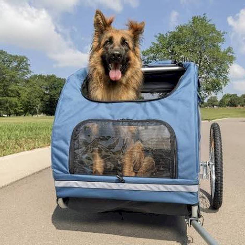 PetSafe Happy Ride Aluminum Cat & Dog Bicycle Trailer, Large