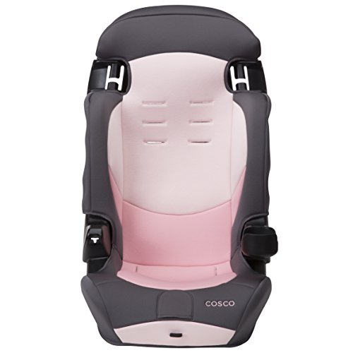 Cosco® Finale DX 2-in-1 Booster Car Seat, Dusk