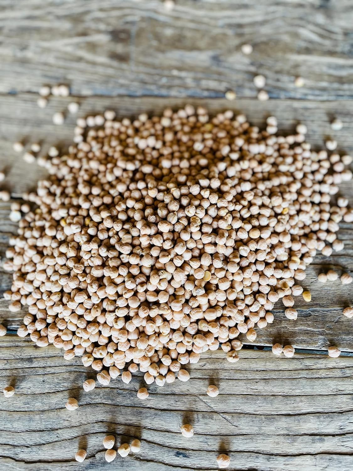 North Lily Chickpeas, Garbanzo Beans, Non-GMO, Kosher, 50 lbs