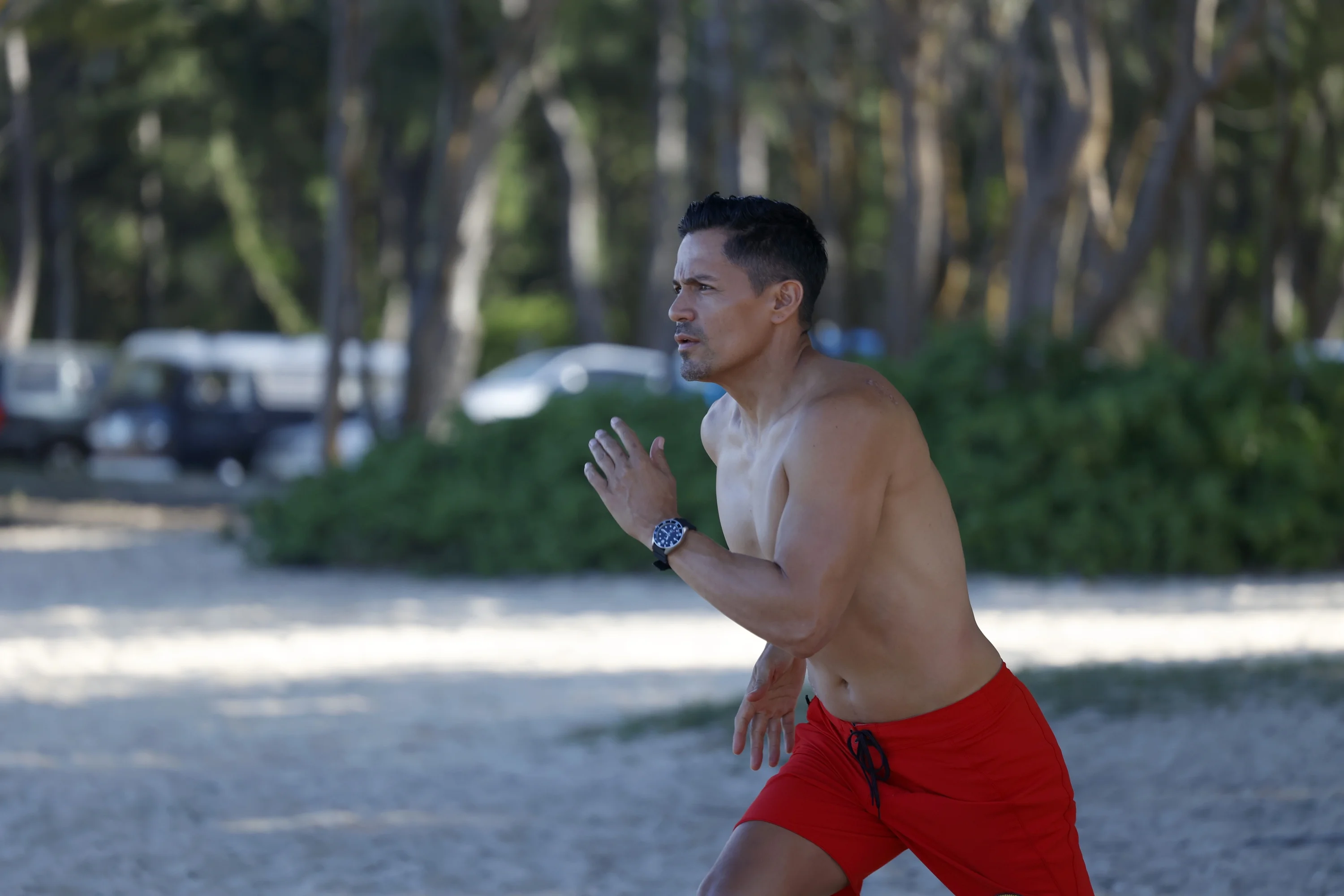 Magnum P.I.: The Complete Series (DVD)