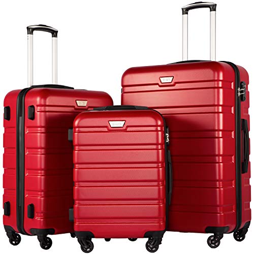 Coolife Luggage 4 Piece Set Suitcase Spinner Hardshell Lightweight TSA Lock