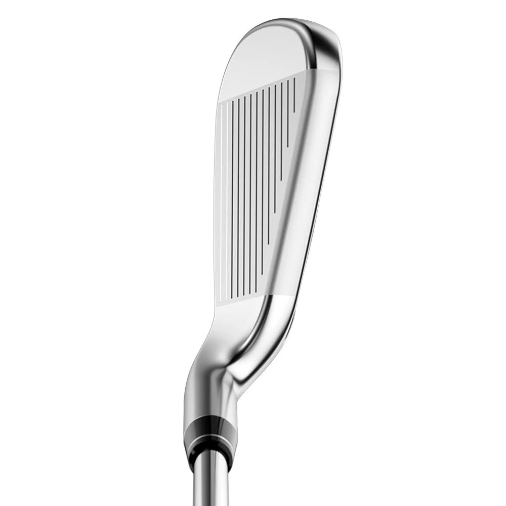 Callaway Big Bertha B21 Iron Set 7-PW+SW New