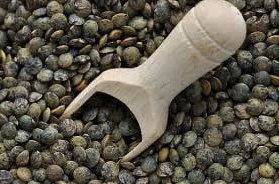French Green Lentils 10 lbs (Ten Pounds) USDA Certified Organic, Non-GMO, Bulk by Mulberry Lane Farms