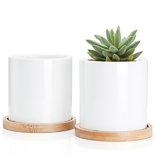 Succulent Plant Pots - 3 Inch Small White Ceramic Planter Mini Flower Containers Indoor with Drainage Hole and Bamboo Tray for Succulents or Cactus, Set of 2