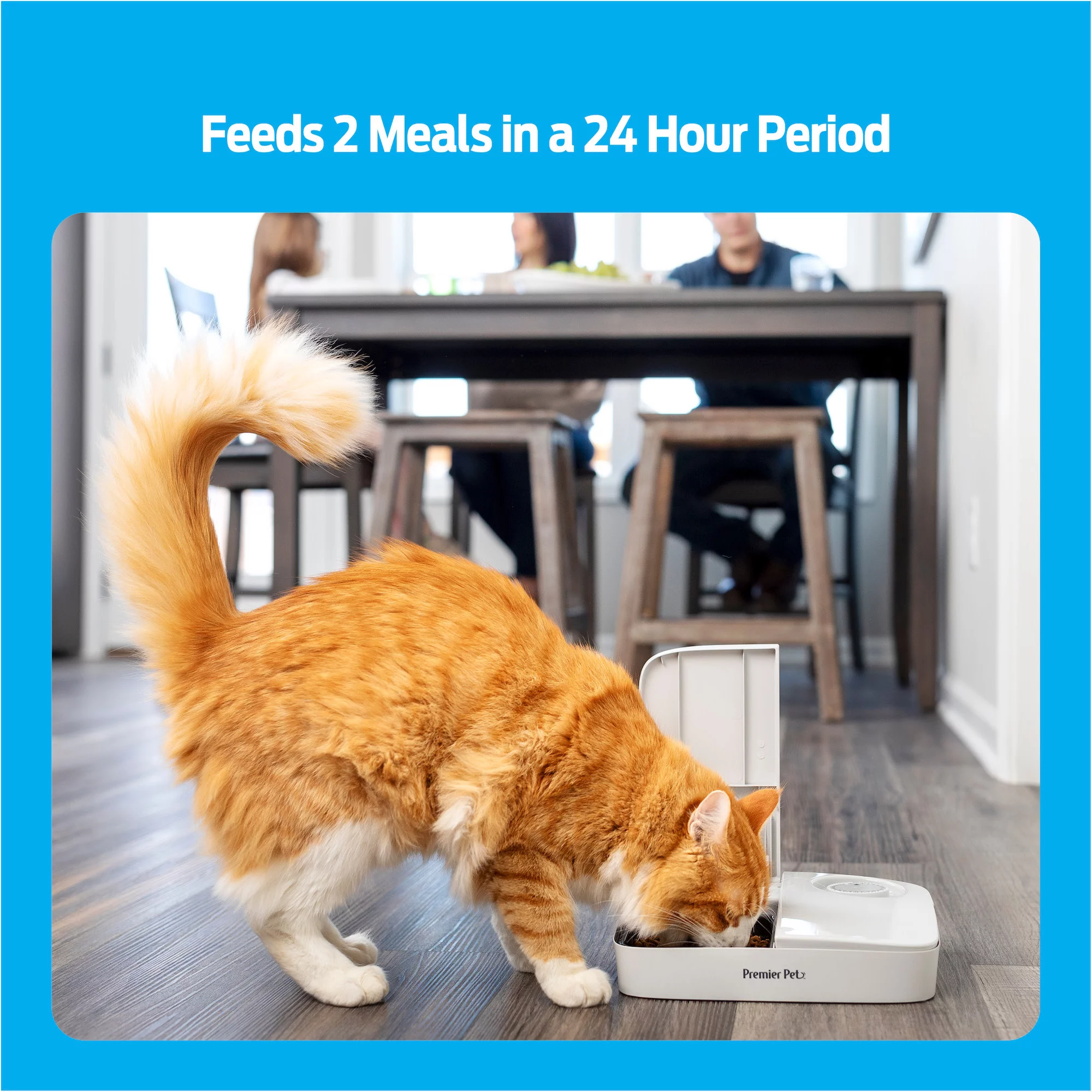 Premier Pet Automatic Timer Pet Feeder - Feeder that Dispenses Dog and Cat Dry Food