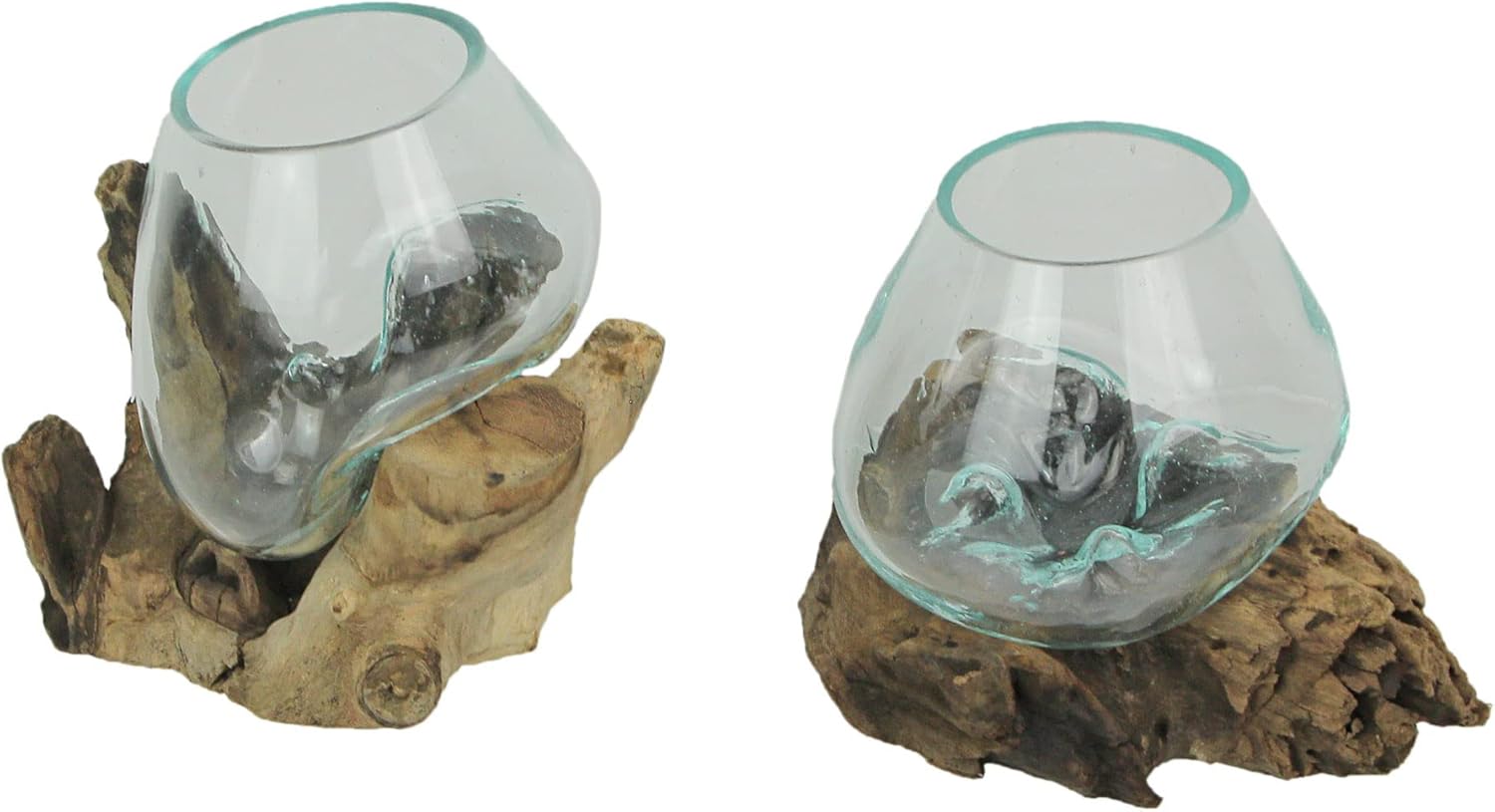 Set of 2 Glass and Teak Driftwood Decorative Bowls, Vases, and Terrarium Planters - Great for Bedrooms, Living Rooms and Offices - Versatile Boho Decor