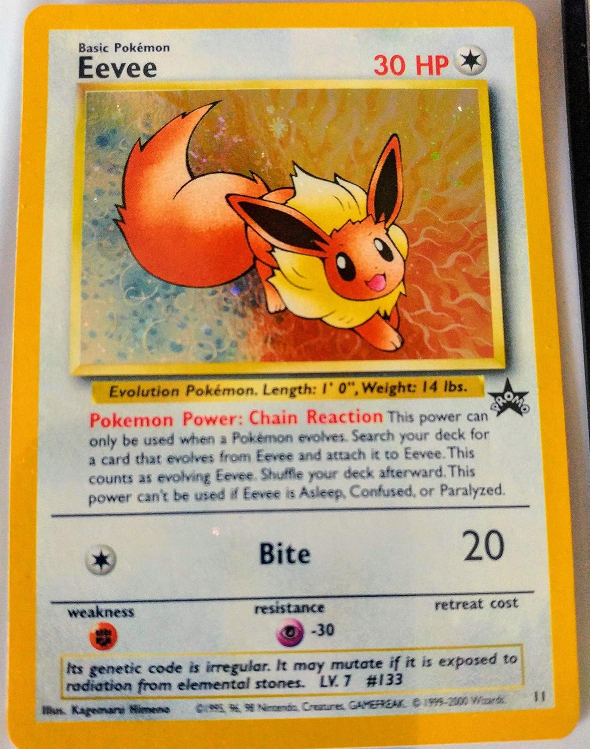 Pokemon - Eevee (11) - Wizards Black Star Promos - Holo