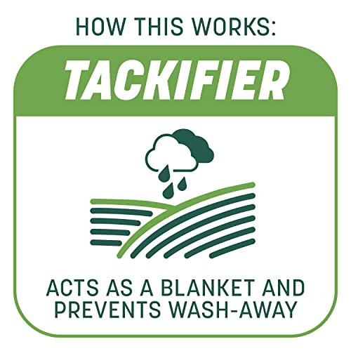 Pennington Smart Patch Tall Fescue Mix 10 lb