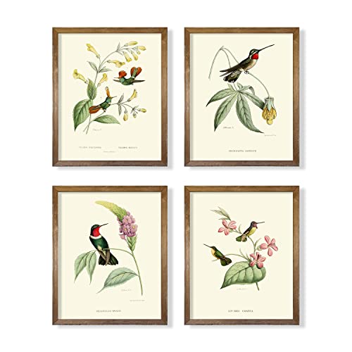 Vintage Bird Wall Art - Hummingbird Pictures for Wall - France Country Botanical Flower Poster - Lovebird Sparrow Audubon Print - Green Tree Floral - Beige Wall Decor for Bedroom Bathroom Cottagecore