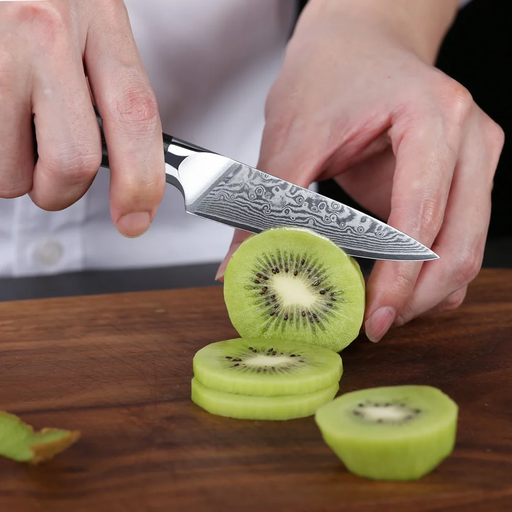 6Pcs TURWHO Kitchen Knife Japanese VG10 Damascus Steel Chef Knives + Knife Block