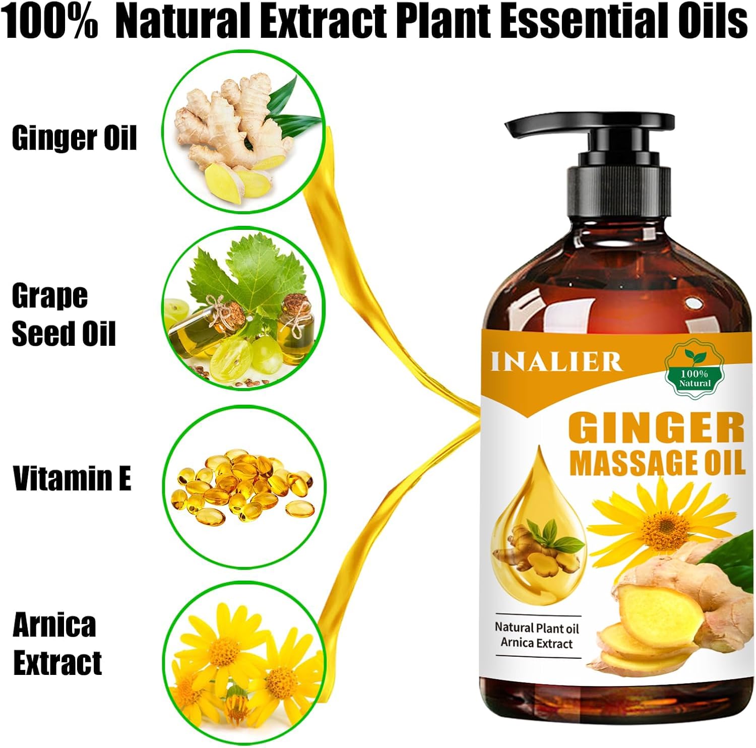 Ginger Massage Oil,Ginger Oil for Lymphatic Drainage,Massage Oil for Massage Therapy,﻿SPA Massage Oils,Relaxing Sore Muscle Massage Oil,Ginger Essential Oil for Body Massage