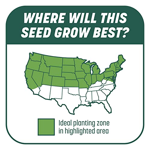 Pennington Smart Seed Sun and Shade Grass Mix 7 lb