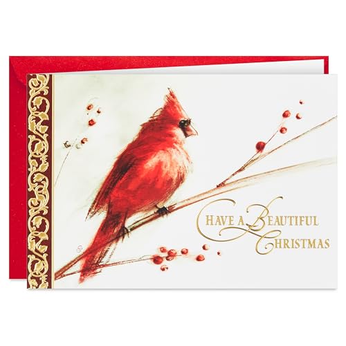 Hallmark Boxed Christmas Cards, Painted Cardinal (40 Cards and 40 Envelopes) Beautiful Christmas