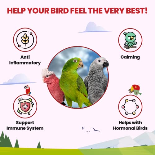 Parrot Tea 3oz - Parakeet Food - Parrot Food & Cockatiel Food Vitamin Substitute - Bird Health Supplies - Bird Food Parrot Tea - Bird Food Topper