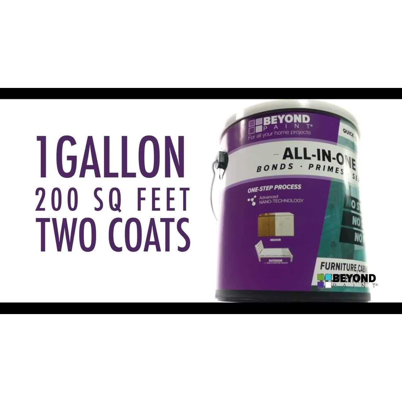 Beyond Paint 1 All-in-One Paint