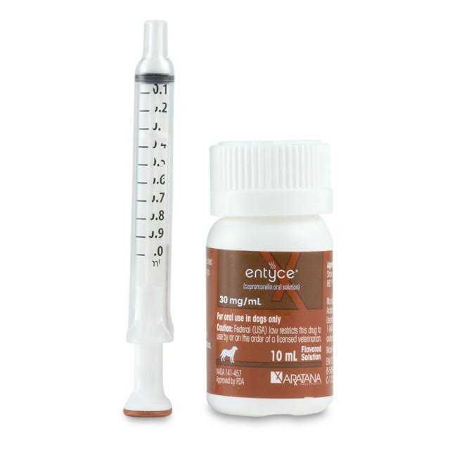 Entyce Oral Solution 30mg/ml - Pet Supplies online store