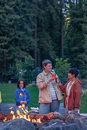 Stanley GO Everyday Wine Tumbler 10 oz | Press Fit Drink Through Lid | Beverage, Coffee, and Cocktail Cup | Insulated Stainless Steel Wine Glass | BPA-Free | Ash