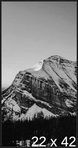 22 x 42 1/2 Satin Black Metal Frame (Ashford) 22x42.5 inches