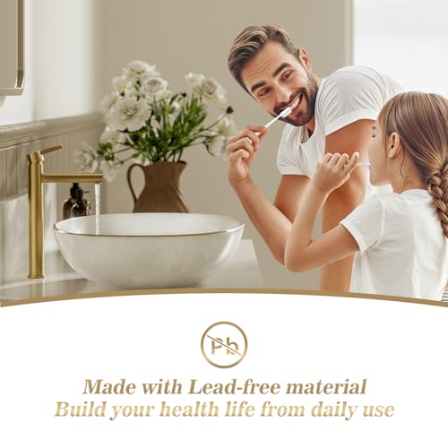 Phiestina Brushed Gold One Hole High Bathroom Vessel Sink Faucet, Single Hole Single Handle Tall Bathroom Faucet, with Pop Up Drain and Water Supply Line,FH01-BG-V