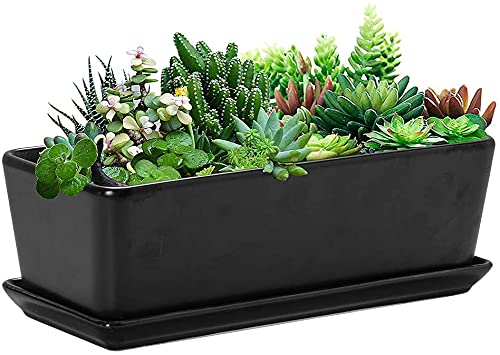 SQOWL 10 Inch Rectangular White Ceramic Succulent Planter Pot Modern Flower Cactus Herb Big Planter with Removable Saucer Indoor or Outdoor