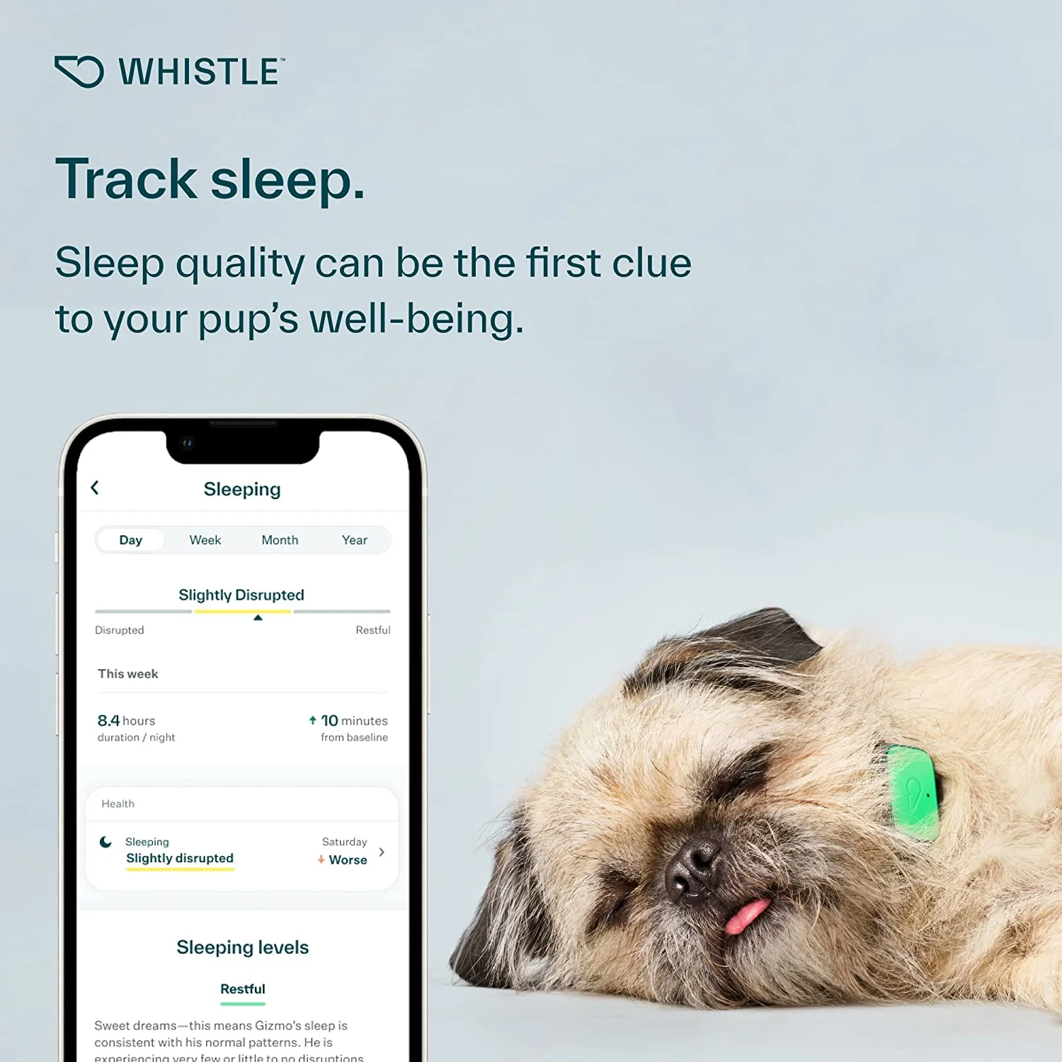 Whistle Health Smart Device | Dog Health and Fitness Tracker