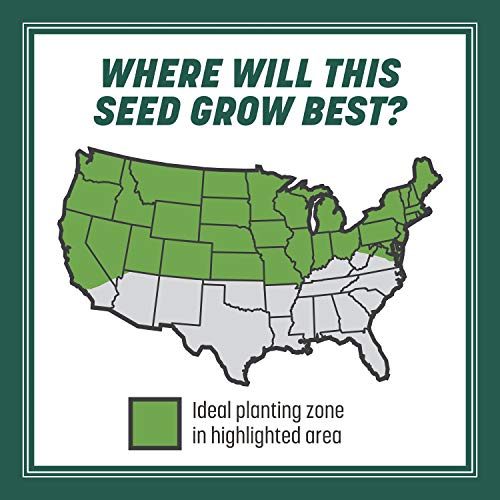 Pennington Smart Seed Sun and Shade Grass Mix 20 lb