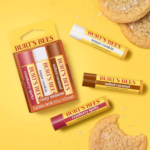 Burt's Bees Christmas Gifts, 4 Lip Balms Stocking Stuffers Products, Beeswax Bounty Fruit Mix - Watermelon, Pomegranate, Dragonfruit Lemon & Sweet Peach (4-Pack)