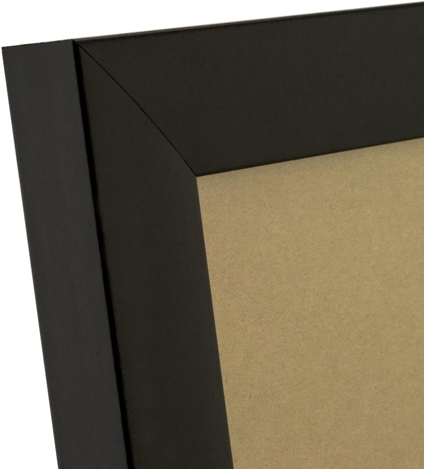 Craig Frames 1WB3BK 20 by 30-Inch Picture/Poster Frame, Smooth Finish, 1-Inch Wide, Matte Black