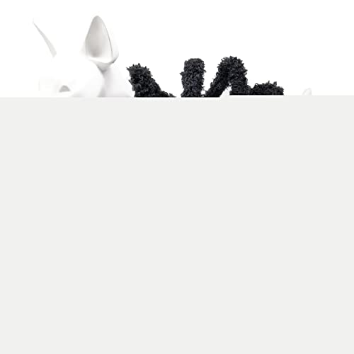 212 Main Creepy Webs Holiday Spider Pet Dog Costume Black - Small