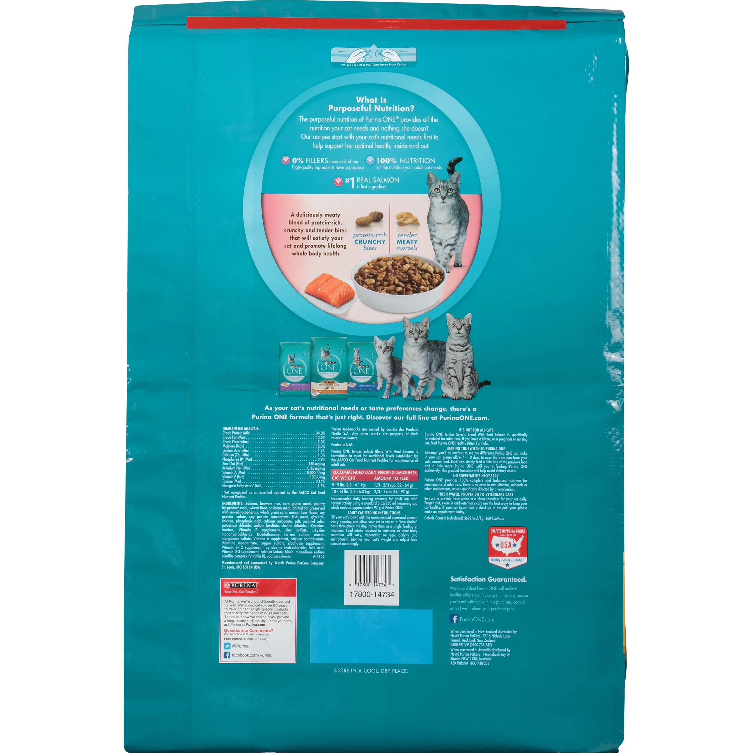 Purina ONE Tender Selects Blend with Real Salmon Cat Food 22 lb. Bag